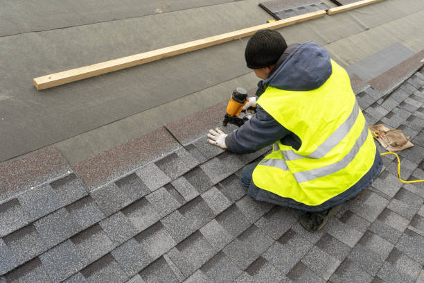 Best Roof Gutter Cleaning  in North Aurora, IL