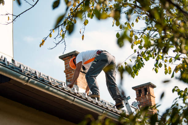 Best Flat Roof Repair Services  in North Aurora, IL